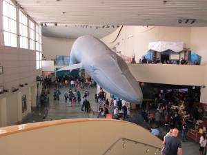 Aquarium of the Pacific, Long Beach, California